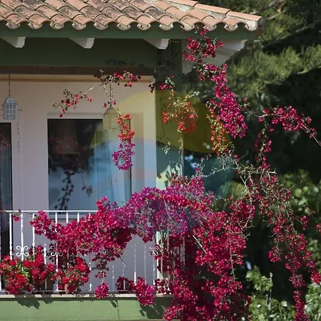 Riuebre - Casa Rural Para 11 Personas Con Piscina Y Vistas Al Rio Ebro - Deltavacaciones Deltebre Buitenkant foto